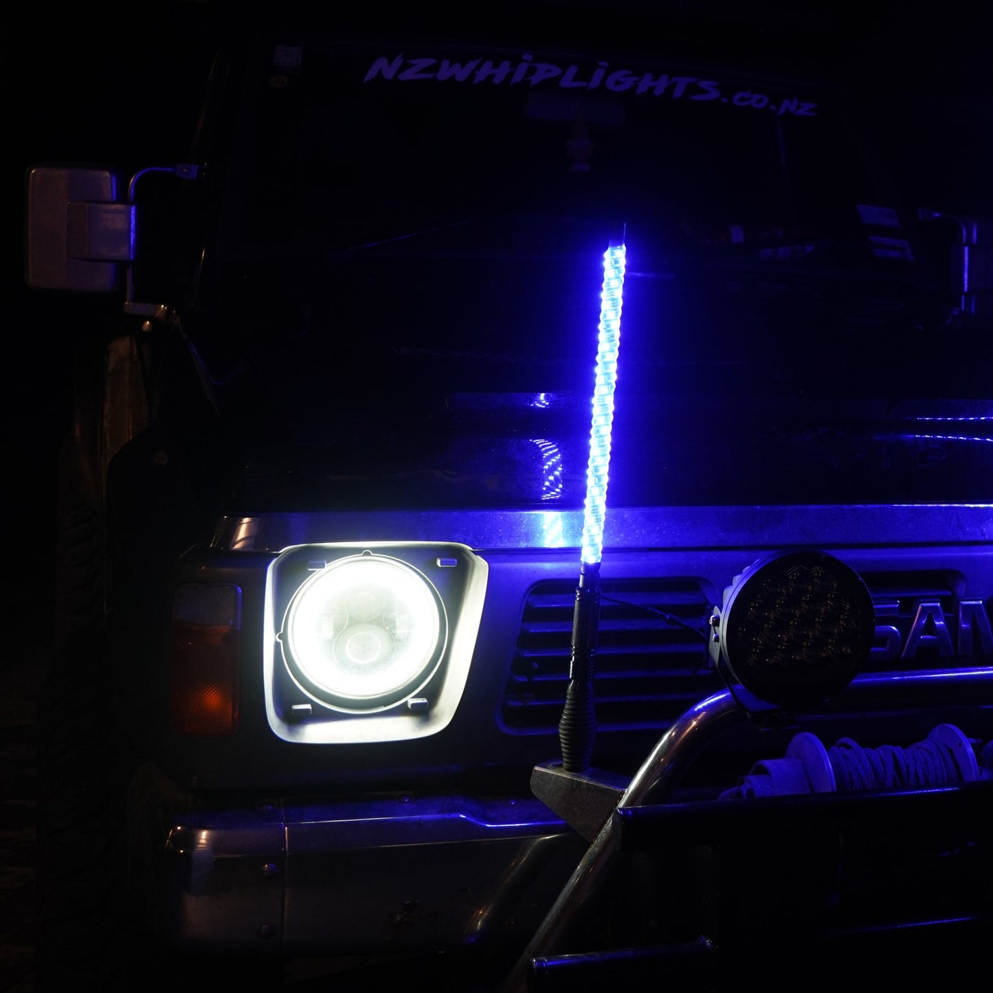 2ft (61cm) LED Whip Light  - Single