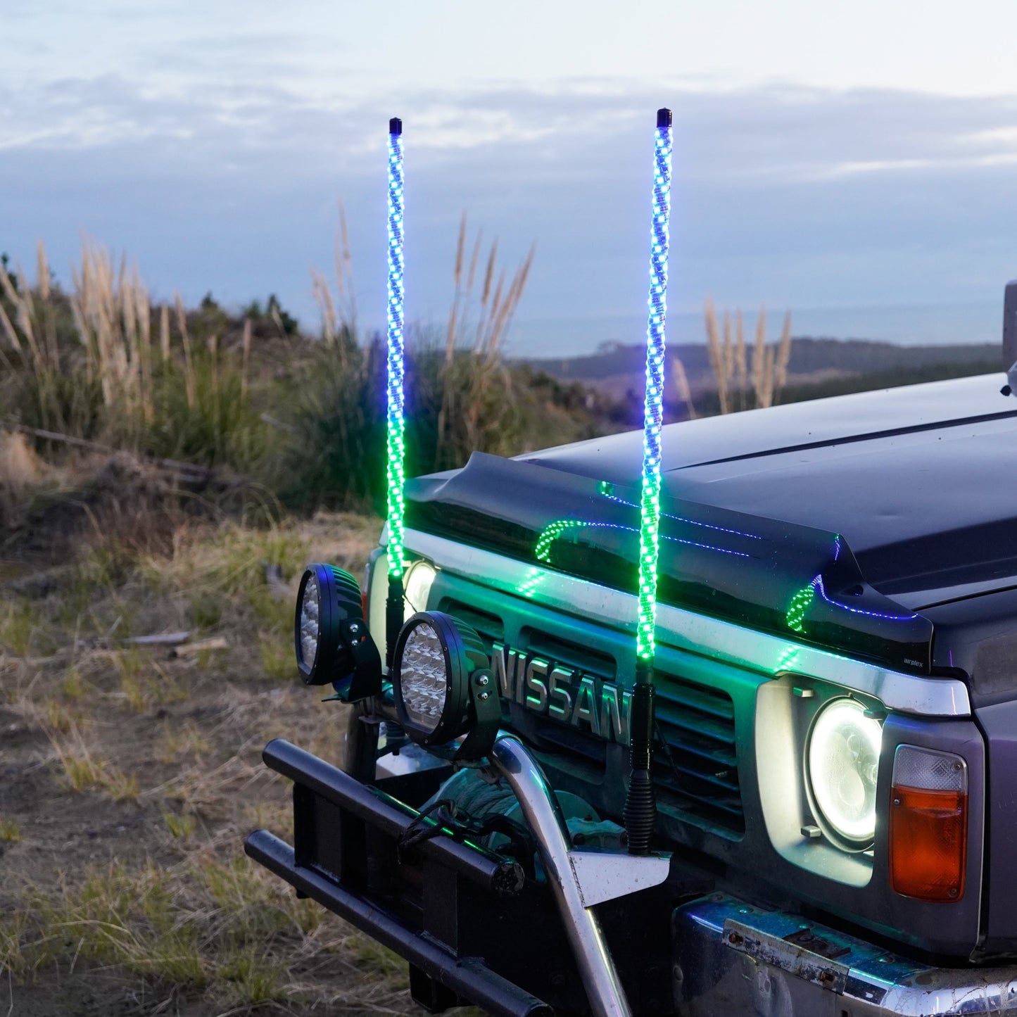 3ft (91cm) LED Whip Light - Pair