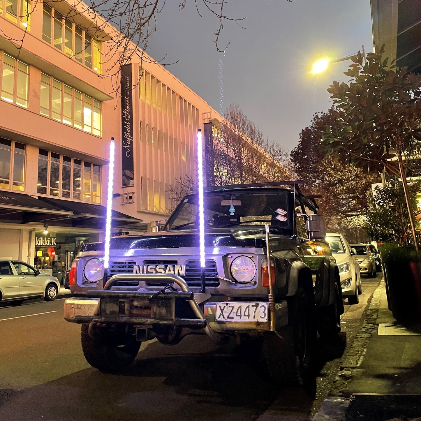 4ft pair nz whiplights on road